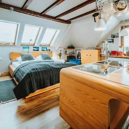 Visitzakopane Art Apartmán *