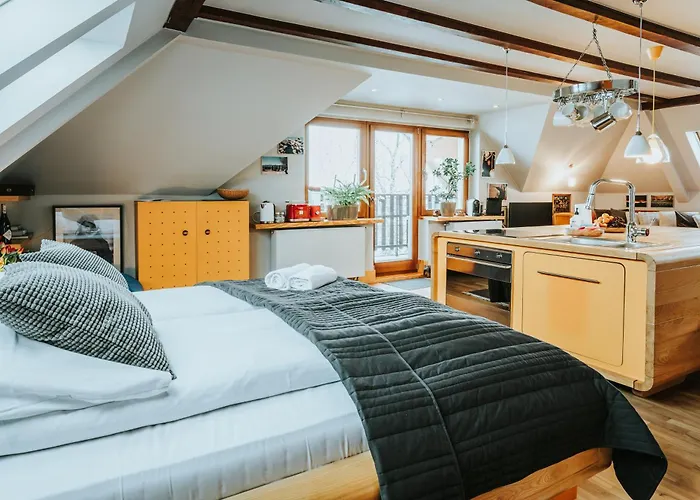 Appartamento Visitzakopane Art *